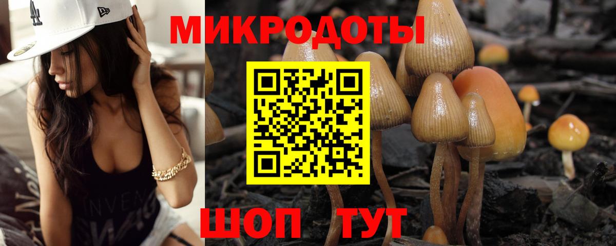 цена   Вход с VPN  Псилоцибиновые грибы Cubensis  Сальск  Псилоцибиновые грибы GOLDEN TEACHER 